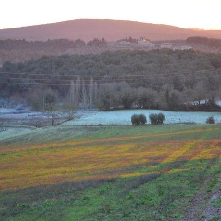 Podere Ficareto Farm Ancaiano Exteriér fotografie