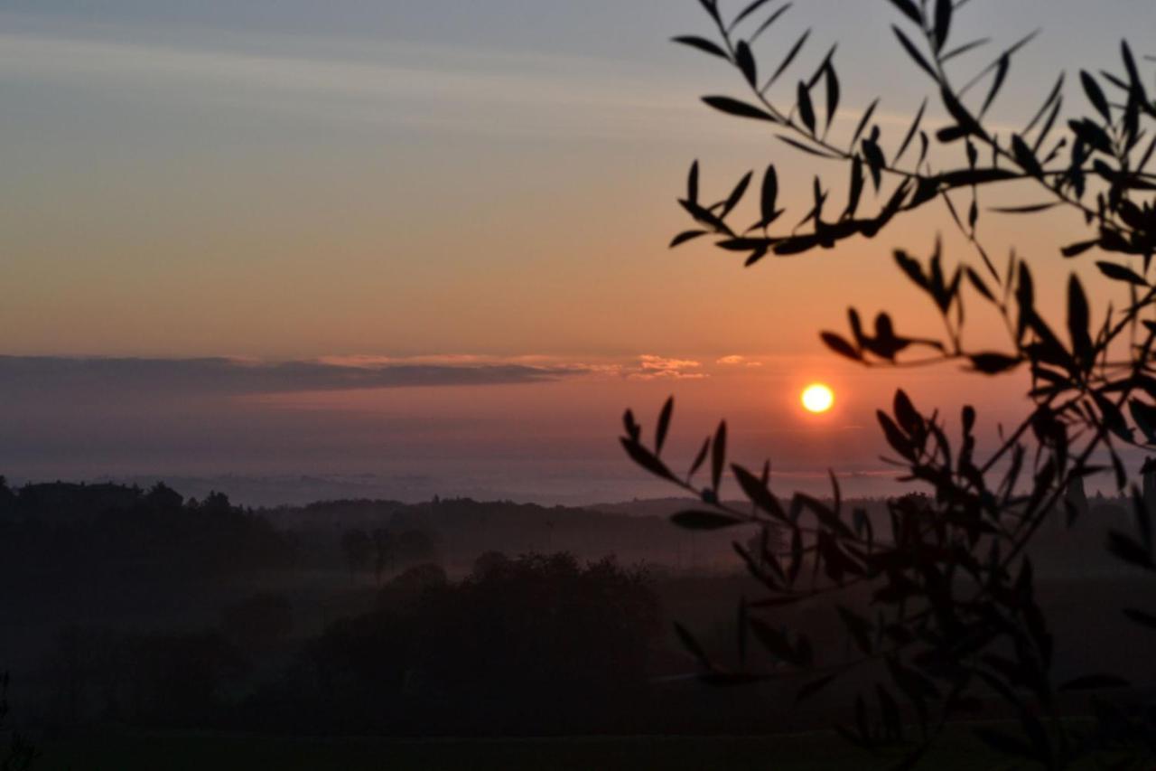Podere Ficareto Farm Ancaiano Exteriér fotografie
