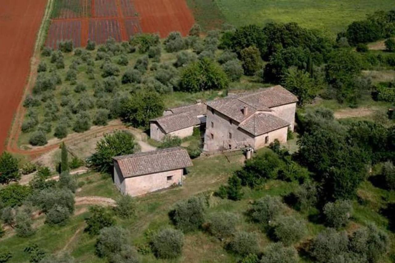 Podere Ficareto Farm Ancaiano Exteriér fotografie
